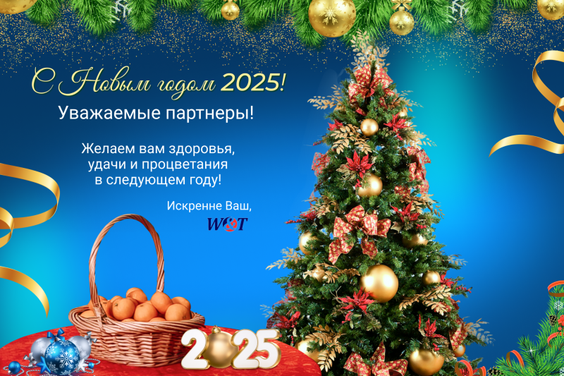С Новым Годом 2025!