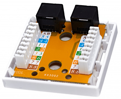 Розетка 2хRJ-45 8P8C